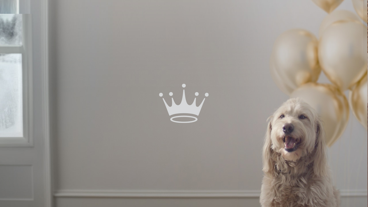 Hallmark Channel. Where Love Happens.