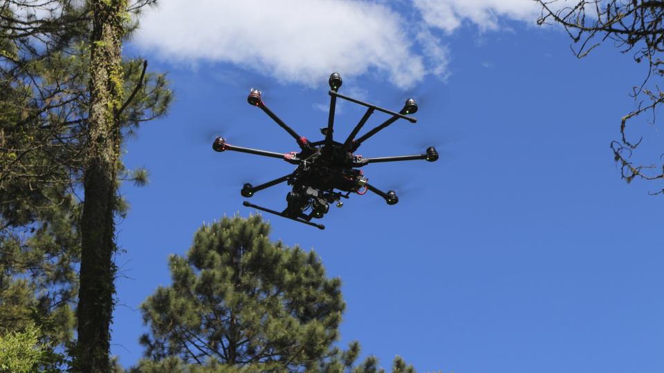 Nat Geo Micro To Macro