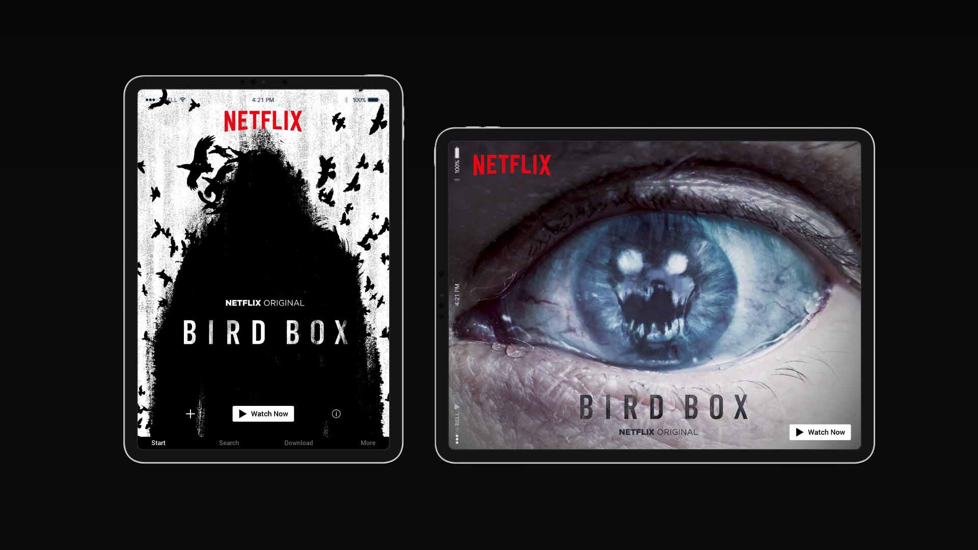 Bird Box. Netflix Key Art.
