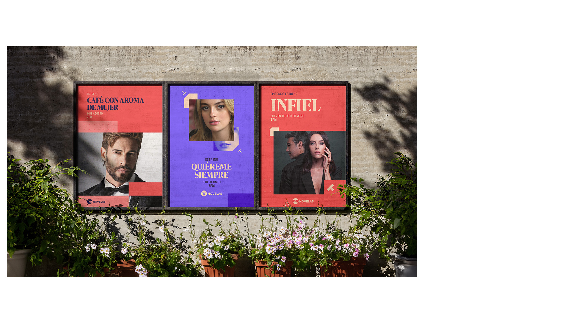 TNT. Brand Identity Design Hierarchy