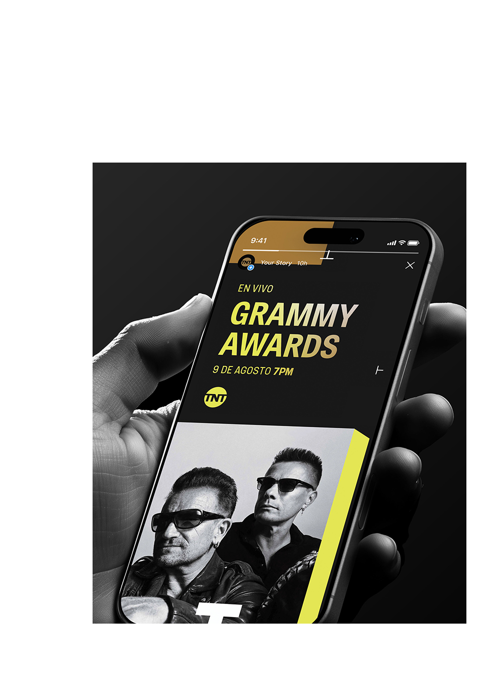 TNT. Brand Identity Design Hierarchy