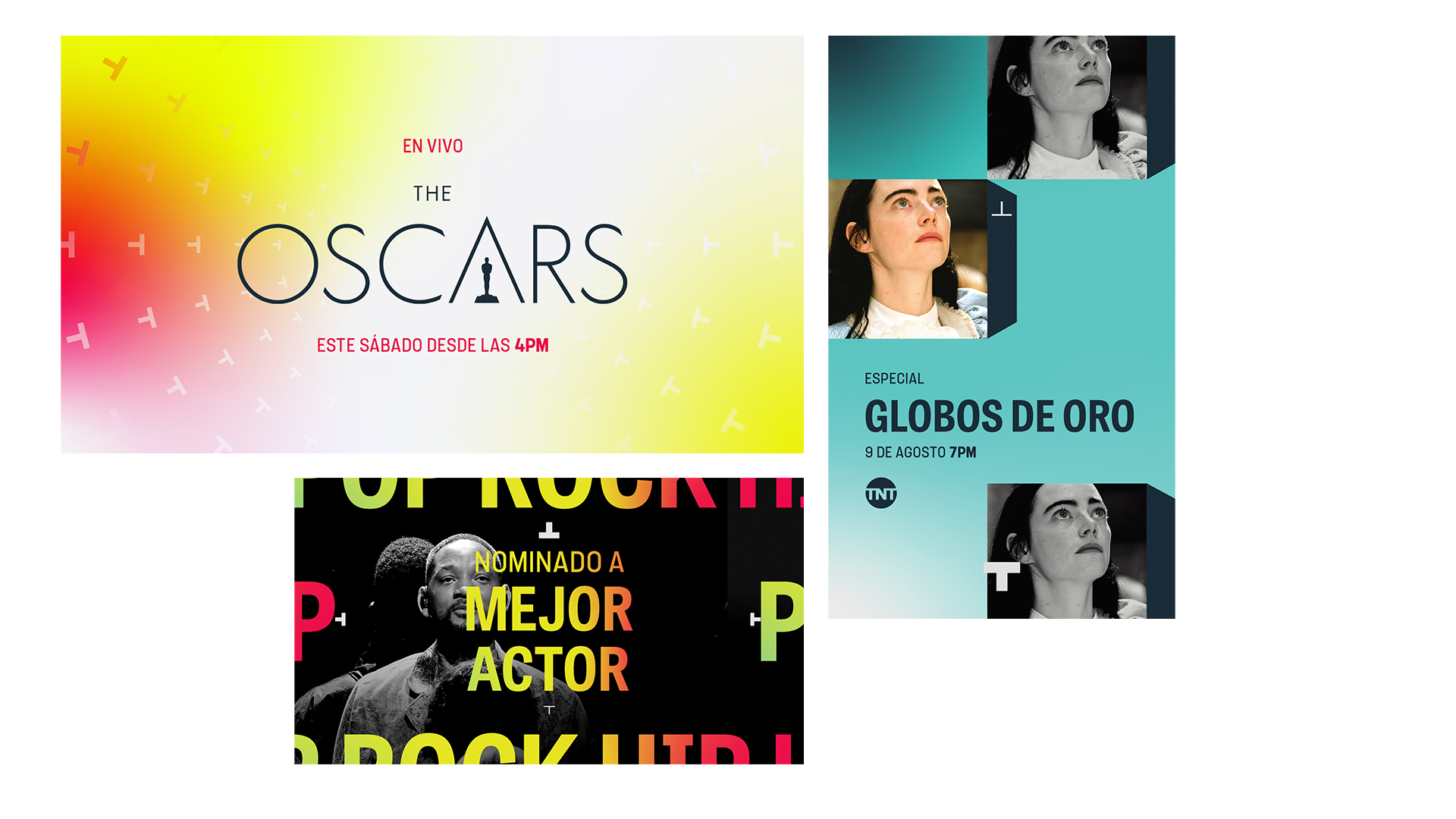 TNT. Brand Identity Design Hierarchy