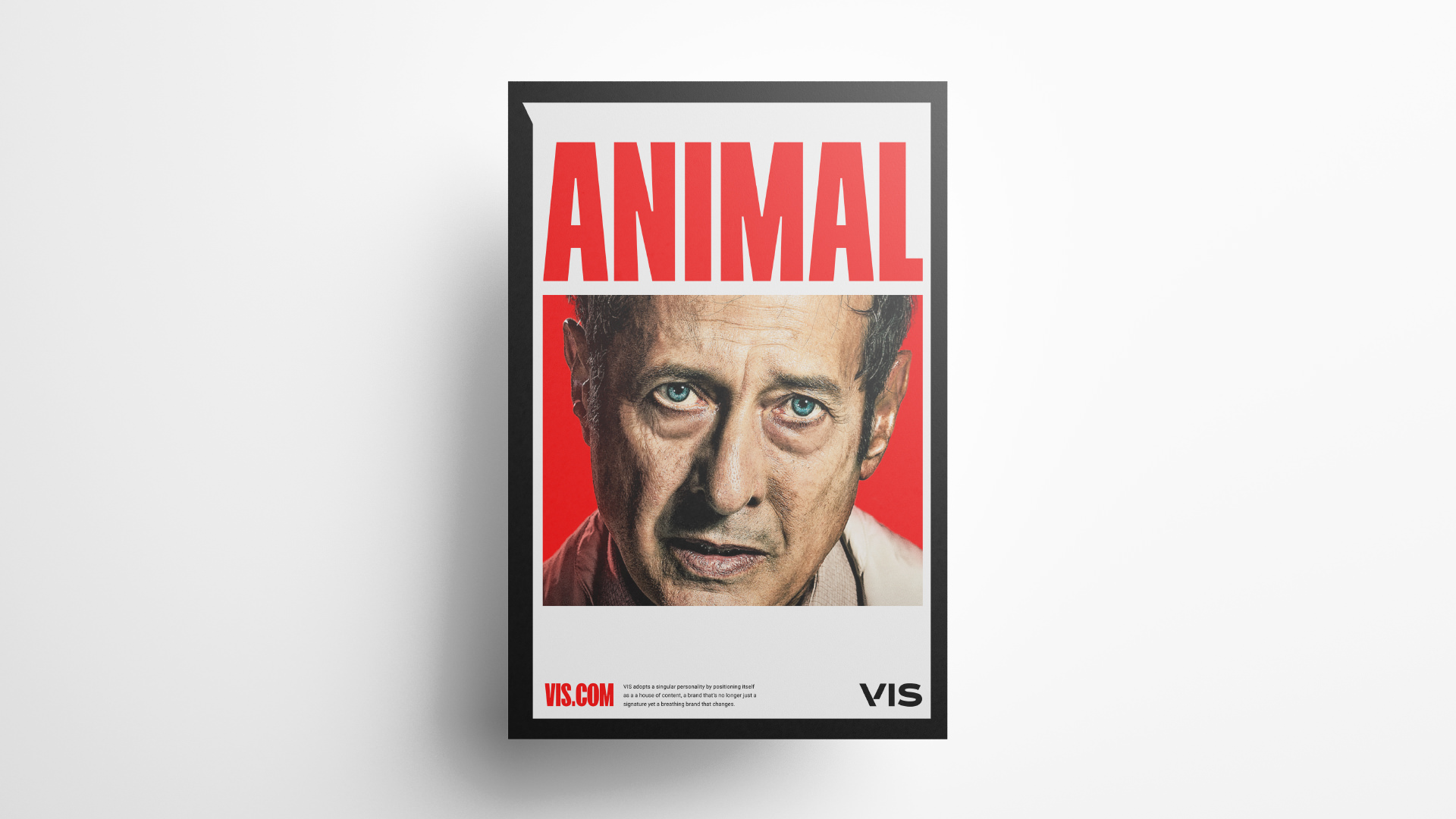 VIS. Viacom International Studios Branding.